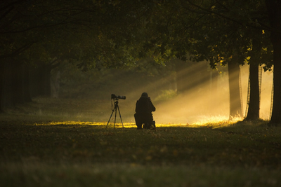 Timeless Photography 4